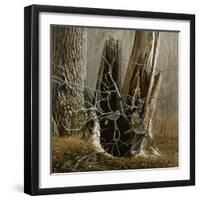 White Throated Sparrows-Michael Budden-Framed Giclee Print