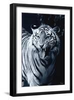 White Tiger 2-Gordon Semmens-Framed Photographic Print