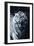 White Tiger 2-Gordon Semmens-Framed Photographic Print