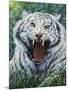 White Tiger 2-Jeff Tift-Mounted Giclee Print