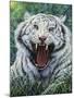 White Tiger 2-Jeff Tift-Mounted Giclee Print