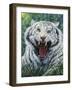 White Tiger 2-Jeff Tift-Framed Giclee Print