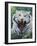 White Tiger 2-Jeff Tift-Framed Giclee Print