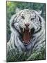 White Tiger 2-Jeff Tift-Mounted Giclee Print