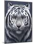 White Tiger Ghost-Jeremy Paul-Mounted Premium Giclee Print