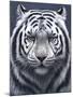 White Tiger Ghost-Jeremy Paul-Mounted Giclee Print