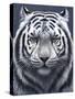 White Tiger Ghost-Jeremy Paul-Stretched Canvas