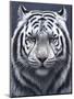 White Tiger Ghost-Jeremy Paul-Mounted Giclee Print