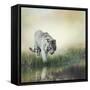 White Tiger near A Pond-abracadabra99-Framed Stretched Canvas