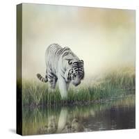 White Tiger near A Pond-abracadabra99-Stretched Canvas