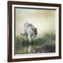 White Tiger near A Pond-abracadabra99-Framed Photographic Print