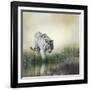 White Tiger near A Pond-abracadabra99-Framed Photographic Print