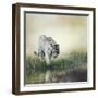 White Tiger near A Pond-abracadabra99-Framed Photographic Print