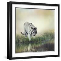 White Tiger near A Pond-abracadabra99-Framed Photographic Print