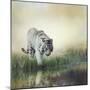 White Tiger near A Pond-abracadabra99-Mounted Photographic Print