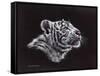 White Tiger Pastel-Sarah Stribbling-Framed Stretched Canvas