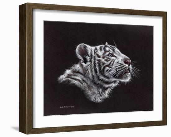 White Tiger Pastel-Sarah Stribbling-Framed Art Print