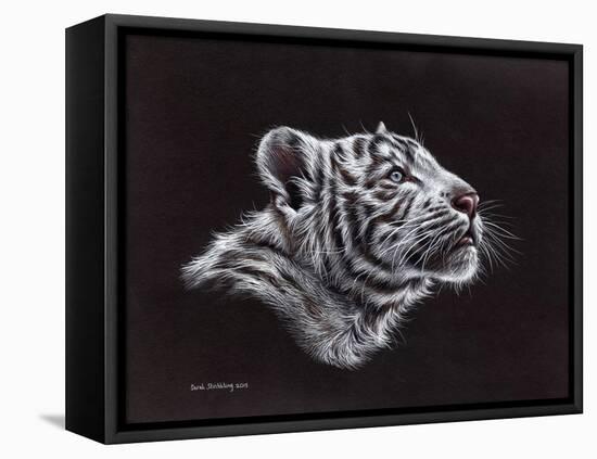 White Tiger Pastel-Sarah Stribbling-Framed Stretched Canvas