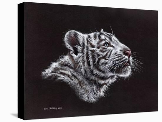White Tiger Pastel-Sarah Stribbling-Stretched Canvas