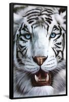 White Tiger (Tigre Blanco) Art Poster Print-null-Framed Poster