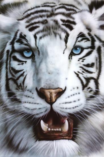 Poster, , large