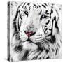 White Tiger-maury75-Stretched Canvas