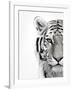 White Tiger-Design Fabrikken-Framed Photographic Print