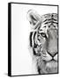 White Tiger-Design Fabrikken-Framed Stretched Canvas