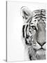 White Tiger-Design Fabrikken-Stretched Canvas