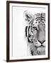 White Tiger-Design Fabrikken-Framed Photographic Print