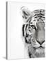 White Tiger-Design Fabrikken-Stretched Canvas