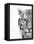 White Tiger-Design Fabrikken-Framed Stretched Canvas