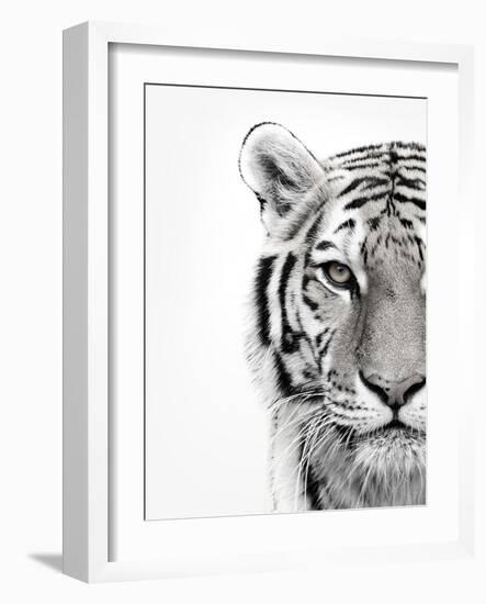 White Tiger-Design Fabrikken-Framed Photographic Print