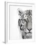 White Tiger-Design Fabrikken-Framed Photographic Print