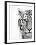 White Tiger-Design Fabrikken-Framed Photographic Print