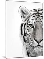 White Tiger-Design Fabrikken-Mounted Photographic Print