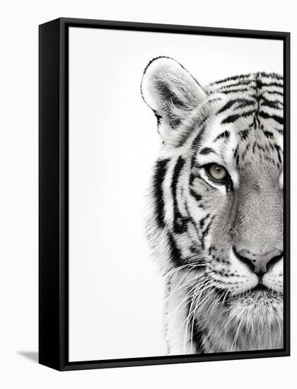 White Tiger-Design Fabrikken-Framed Stretched Canvas