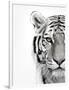 White Tiger-Design Fabrikken-Framed Photographic Print