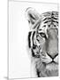 White Tiger-Design Fabrikken-Mounted Photographic Print