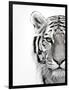 White Tiger-Design Fabrikken-Framed Photographic Print