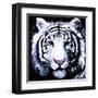 White Tiger-null-Framed Art Print