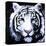 White Tiger-null-Stretched Canvas