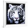 White Tiger-null-Framed Art Print