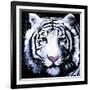 White Tiger-null-Framed Art Print