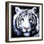 White Tiger-null-Framed Art Print