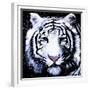 White Tiger-null-Framed Premium Giclee Print