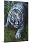 White Tiger-Jenny Newland-Mounted Premium Giclee Print