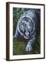 White Tiger-Jenny Newland-Framed Giclee Print