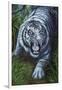 White Tiger-Jenny Newland-Framed Giclee Print