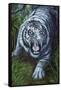 White Tiger-Jenny Newland-Framed Stretched Canvas